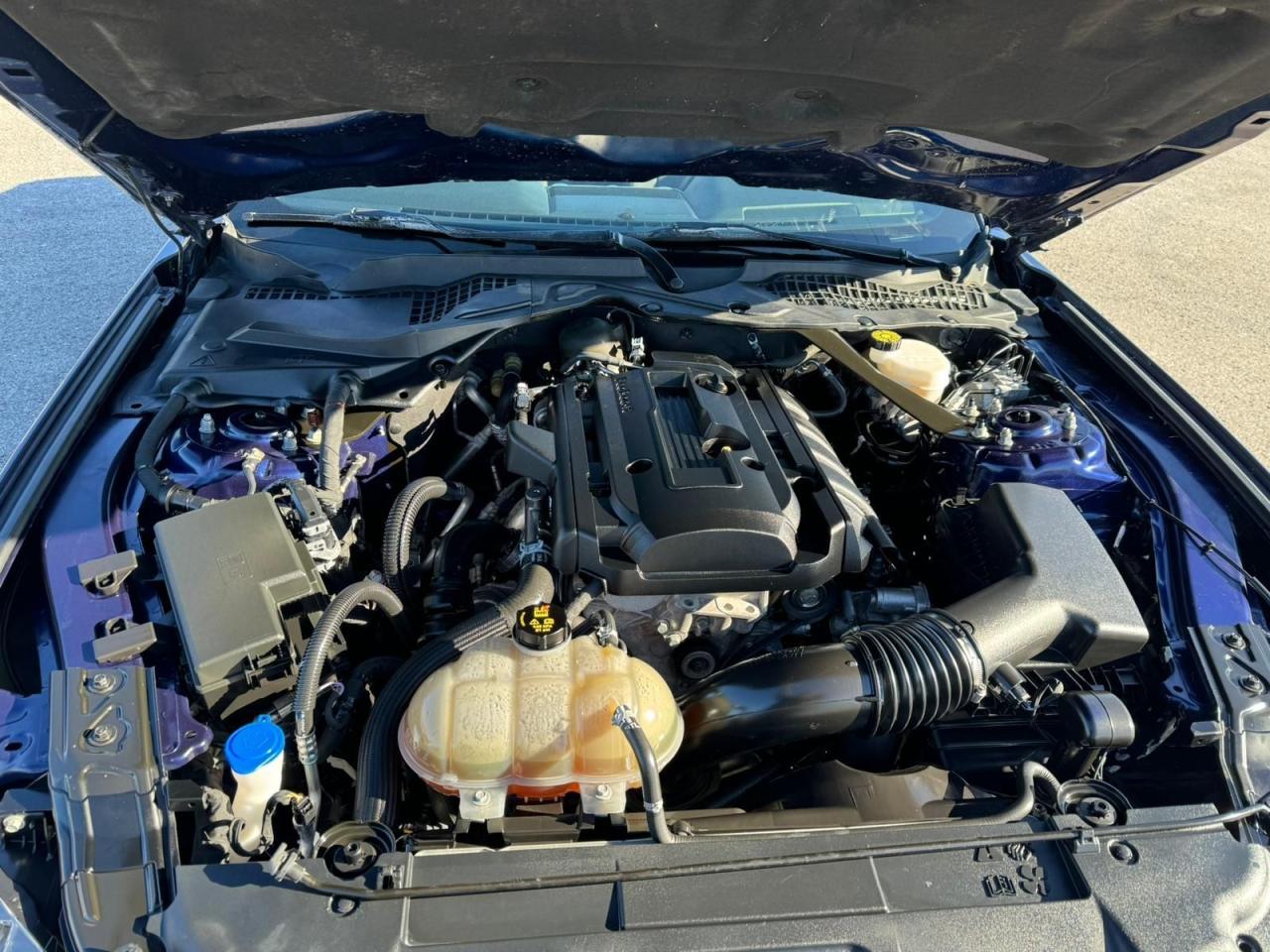 2020 Ford Mustang EcoBoost - Photo #20