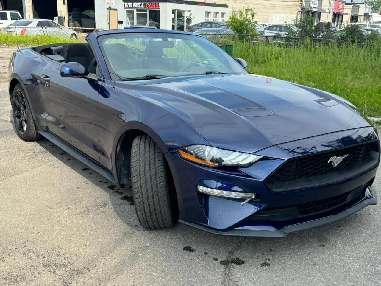 2020 Ford Mustang EcoBoost - Photo #4