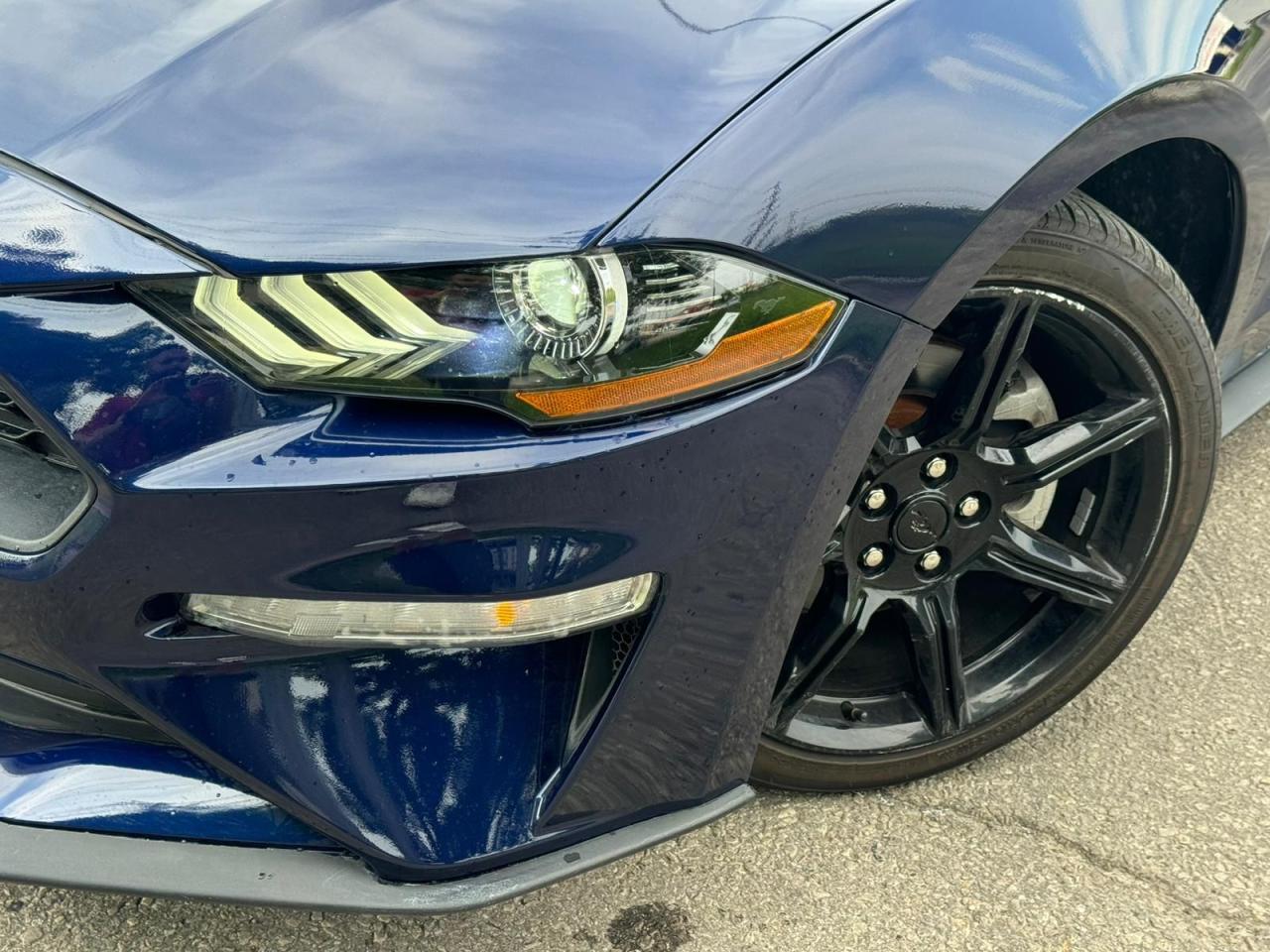 2020 Ford Mustang EcoBoost Photo4