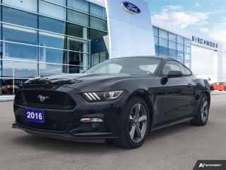 Used 2016 Ford Mustang V6 Local Vehicle| Low Kilometers for sale in Winnipeg, MB