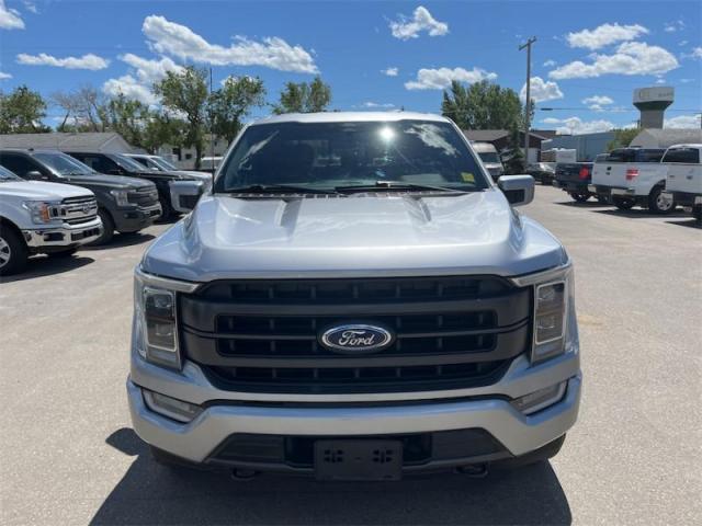 2021 Ford F-150  Photo3