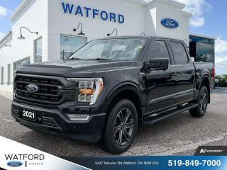 Used 2021 Ford F-150 XLT for sale in Watford, ON
