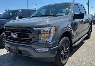 Used 2017 Ford F-150 Cab SuperCrew 4RM 145 po XLT for sale in Watford, ON