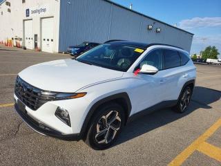 Used 2023 Hyundai Tucson Hybrid Luxury  AWD, Leather, Pano Roof, Nav, Heated Steering + Seats, CarPlay + Android,& more! for sale in Guelph, ON