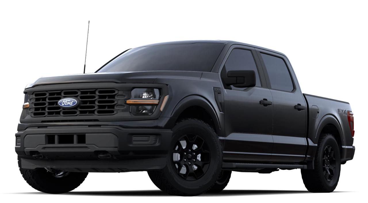 New 2024 Ford F-150 STX for sale in Salmon Arm, BC