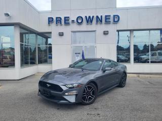 Used 2021 Ford Mustang EcoBoost à toit fuyant for sale in Niagara Falls, ON