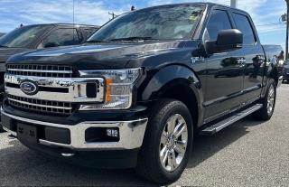 Used 2019 Ford F-150 XLT cabine SuperCrew 4RM caisse de 5,5 pi for sale in Watford, ON