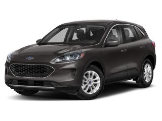 Used 2020 Ford Escape SE for sale in Salmon Arm, BC