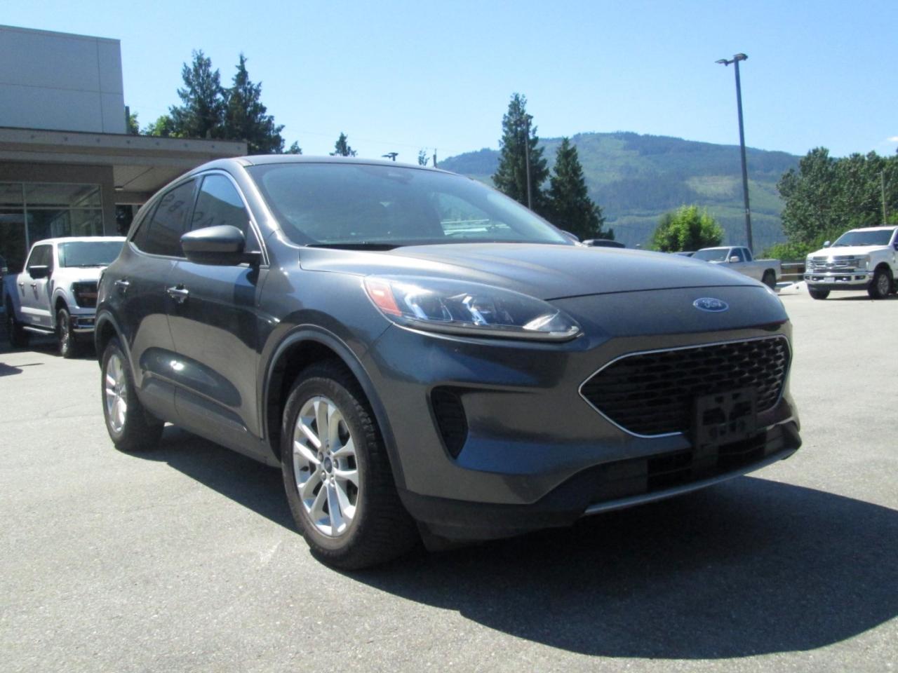 Used 2020 Ford Escape SE for sale in Salmon Arm, BC