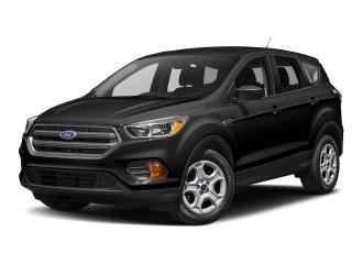 Used 2019 Ford Escape SEL for sale in Salmon Arm, BC