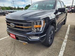 Agate Black Metallic 2022 Ford F-150 Tremor 4D SuperCrew 3.5L V6 EcoBoost 10-Speed Automatic 4WD 4WD, 360 Degree Camera Package, 4-Wheel Disc Brakes, 7 Speakers, 8 Productivity Screen in Instrument Cluster, ABS brakes, Air Conditioning, Alloy wheels, AM/FM radio: SiriusXM with 360L, Auto High-beam Headlights, Auto Start-Stop Removal, Automatic High Beam, BLIS w/Cross-Traffic Alert, Block heater, Body-Colour Door Handles w/Body-Colour Bezel, BoxLink Cargo Management System, Brake assist, Bumpers: body-colour, Carpeted Floor Mats w/Tremor Logo, Class IV Trailer Hitch Receiver, Compass, Connected Navigation & SiriusXM w/360L Removal, Delay-off headlights, Driver door bin, Dual front impact airbags, Dual front side impact airbags, Dual Zone Electronic Automatic Temperature Control, Electronic Locking w/3.73 Axle Ratio, Electronic Stability Control, Emergency communication system: SYNC 4 911 Assist, Equipment Group 401A Mid, Exterior Parking Camera Rear, Ford Co-Pilot360 2.0, Front anti-roll bar, Front Bucket Seats, Front fog lights, Front reading lights, Front wheel independent suspension, Fully automatic headlights, GVWR: 3,198 kg (7,050 lb) Payload Package, Heated door mirrors, Heated Front Seats, Illuminated entry, Integrated Trailer Brake Controller, Intelligent Access w/Push Button Start, Interior Auto-Dimming Rearview Mirror, Lane-Keeping System, Leather-Wrapped Steering Wheel, LED Box Lighting w/Zone Lighting, LED Reflector Headlamps, LED Side-Mirror Spotlights, Low tire pressure warning, Manual Folding Power Glass Sideview Heated Mirrors, Occupant sensing airbag, Onboard 400W Outlet, Outside temperature display, Overhead airbag, Overhead console, Panic alarm, Passenger door bin, Passenger vanity mirror, Post-Collision Braking, Power door mirrors, Power steering, Power windows, Power-Sliding Rear Window w/Privacy Glass, Pre-Collision Assist w/Automatic Emergency Braking, Radio data system, Radio: AM/FM SiriusXM w/360L, Rear reading lights, Rear step bumper, Rear Under-Seat Storage, Rear window defroster, Rear-View Camera, Remote keyless entry, Remote Start System w/Remote Tailgate Release, Reverse Brake Assist, Reverse Sensing System, SecuriCode Drivers Side Keyless-Entry Keypad, Security system, Speed control, Speed-sensing steering, Split folding rear seat, Steering wheel mounted audio controls, SYNC 4 w/Enhanced Voice Recognition, Tachometer, Telescoping steering wheel, Tilt steering wheel, Traction control, Trail Control, Trailer Tow Package, Trip computer, Unique Sport Cloth 40/Console/40 Front Seat, Unique Sport Cloth 40/Console/40 Power Front Seat, Variably intermittent wipers, Voltmeter, Wheels: 18 Alloy w/Dark Matte Finish.