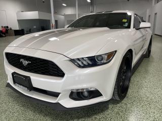 Used 2017 Ford Mustang EcoBoost LOADED MINT! WE FINANCE ALL CREDIT! for sale in London, ON