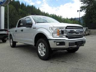 Used 2019 Ford F-150 XLT for sale in Salmon Arm, BC