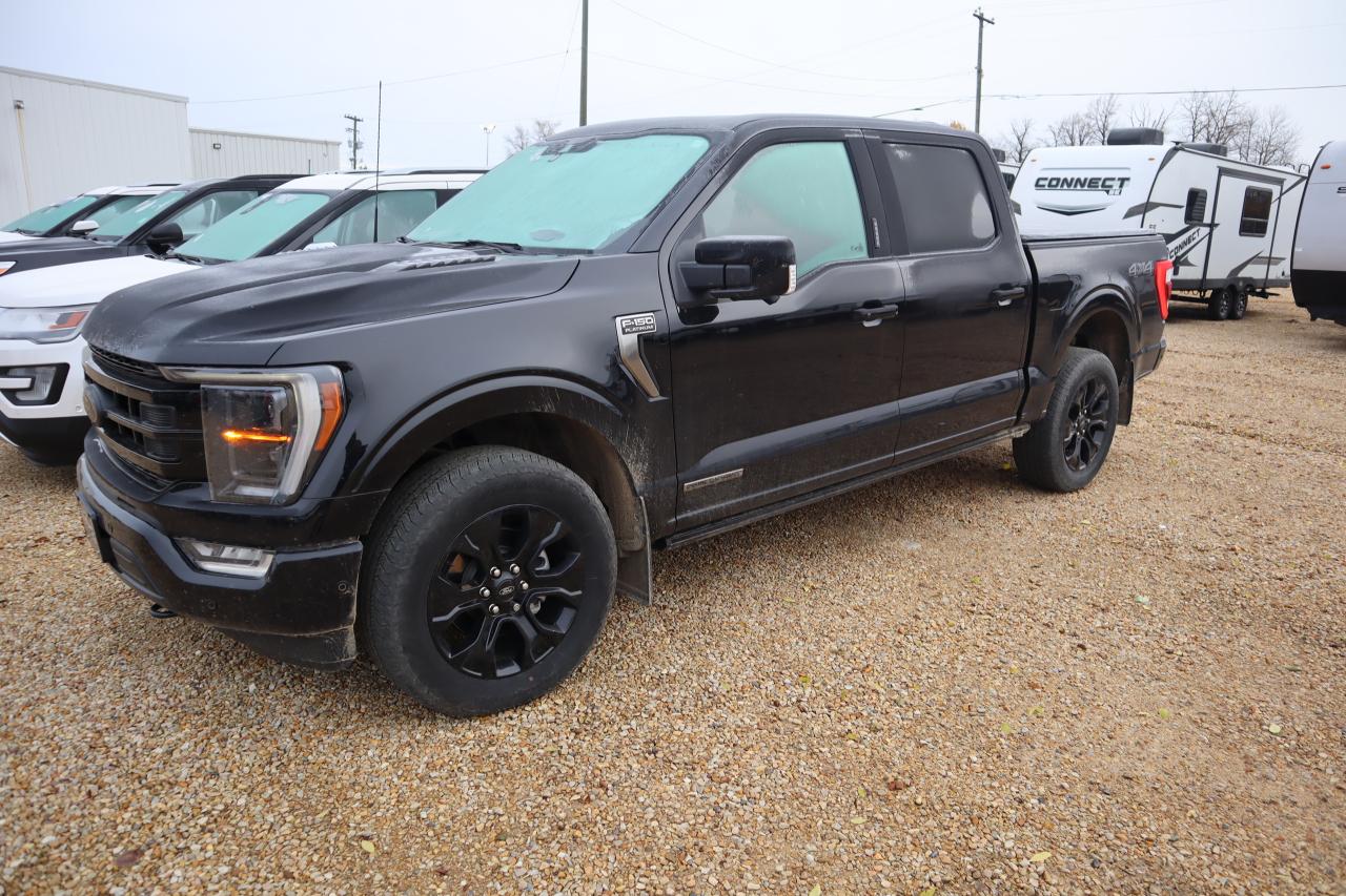 Used 2022 Ford F-150 PLATINUM for sale in Slave Lake, AB