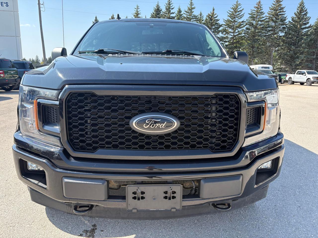2020 Ford F-150 XLT 4WD SuperCrew 5.5' Box Photo2