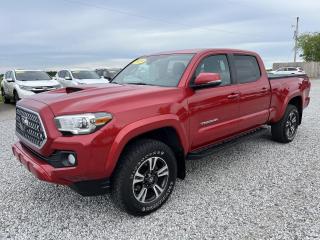 Used 2019 Toyota Tacoma TRD Sport *No Accidents* for sale in Dunnville, ON
