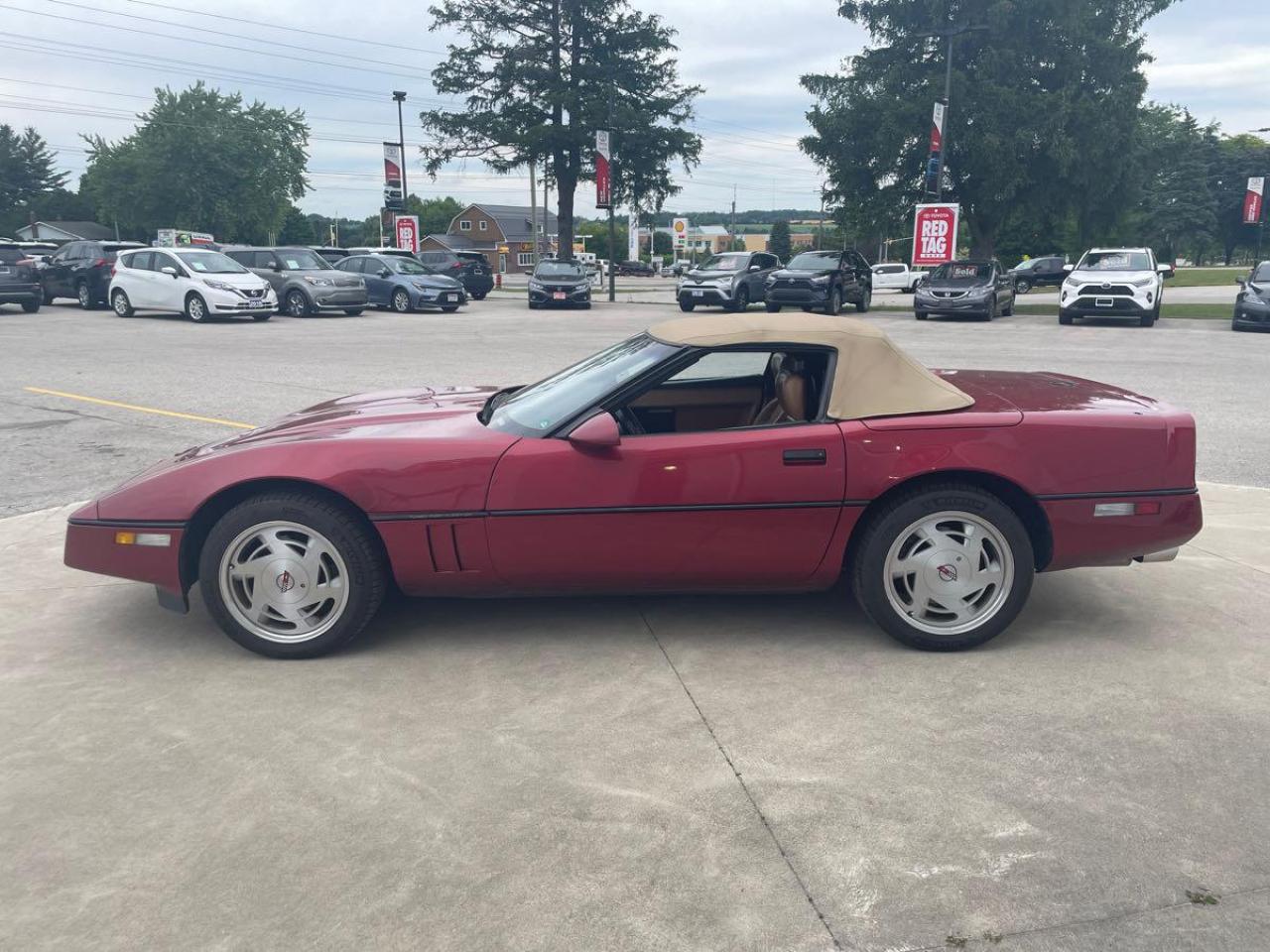 1989 Chevrolet Corvette 2dr Convertible Clean CarFax Financing Trades OK! - Photo #6