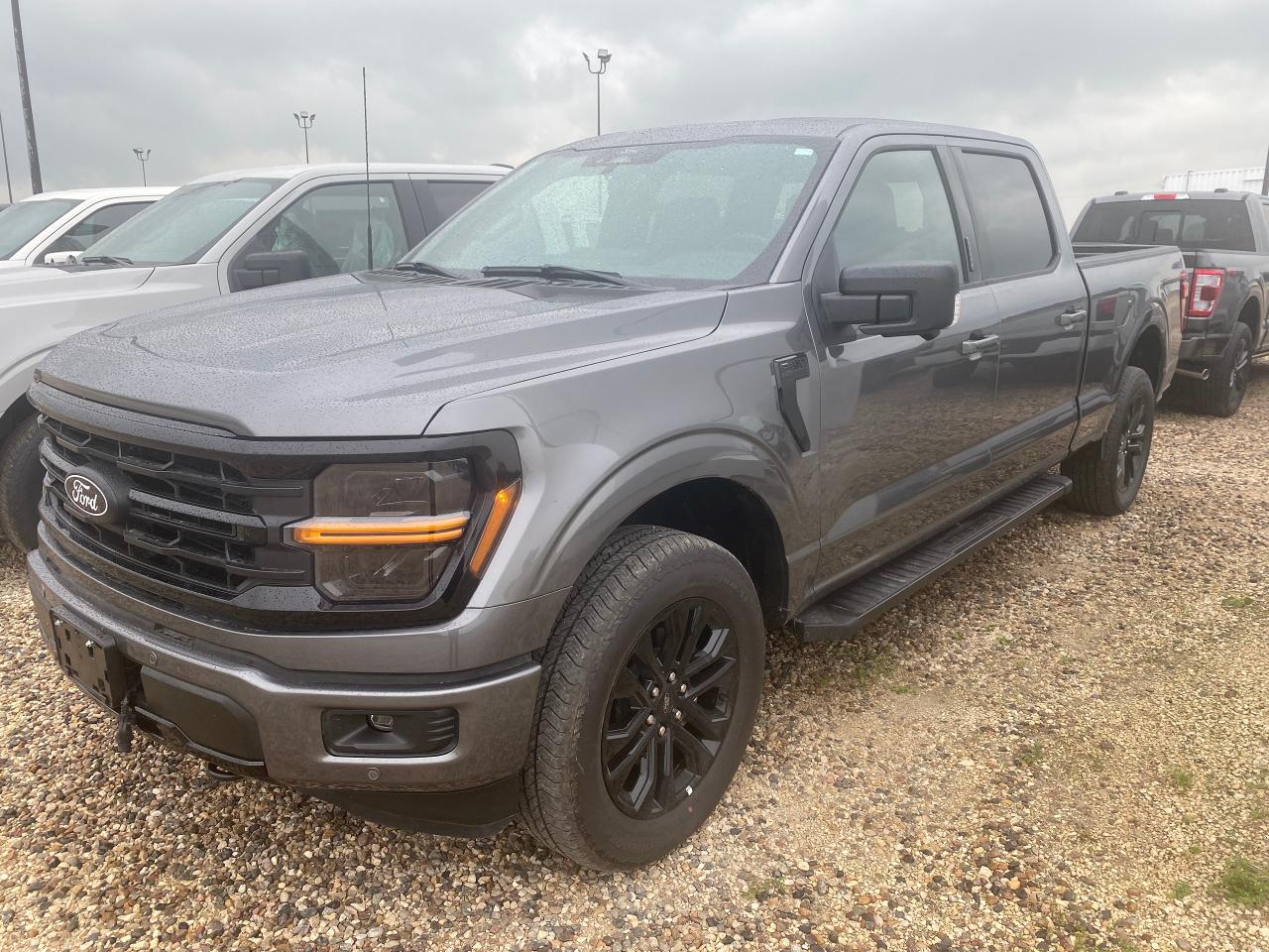 New 2024 Ford F-150 XLT 4WD SuperCrew 6.5' Box 302A for sale in Elie, MB