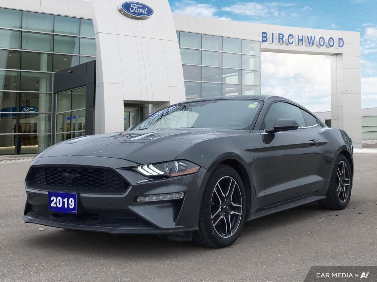 Used 2019 Ford Mustang EcoBoost Coupe | Accident Free | Super Low KMs! for sale in Winnipeg, MB