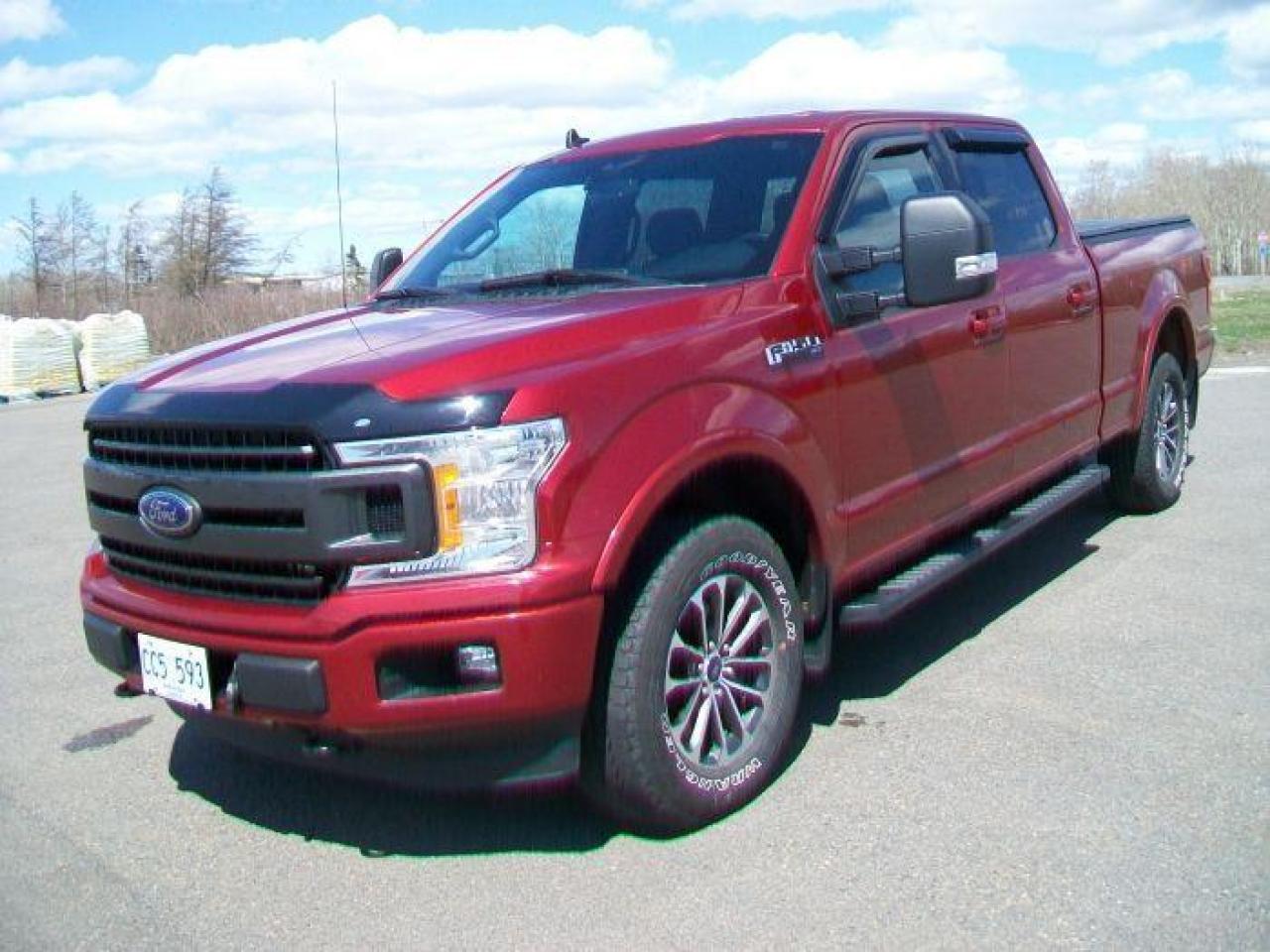 Used 2019 Ford F-150 XLT FX4 for sale in Grand Falls-Windsor, NL