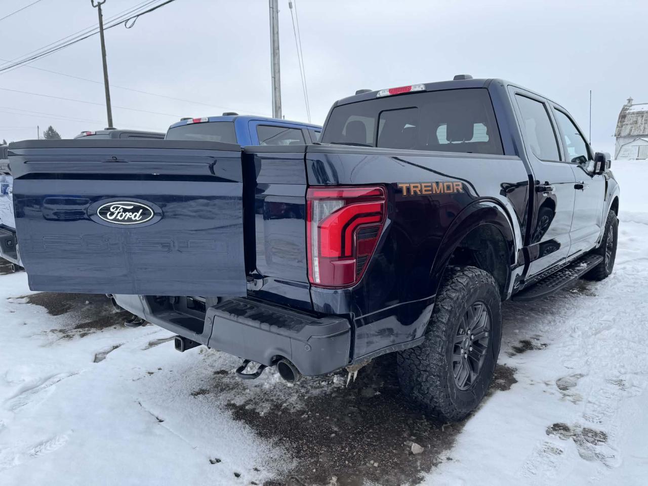 2024 Ford F-150 Tremor Photo