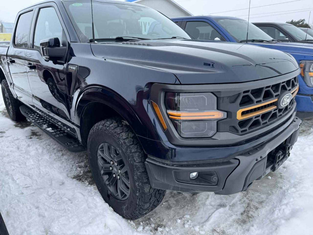 2024 Ford F-150 Tremor Photo5