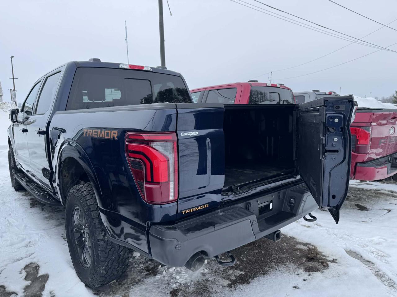 2024 Ford F-150 Tremor Photo5