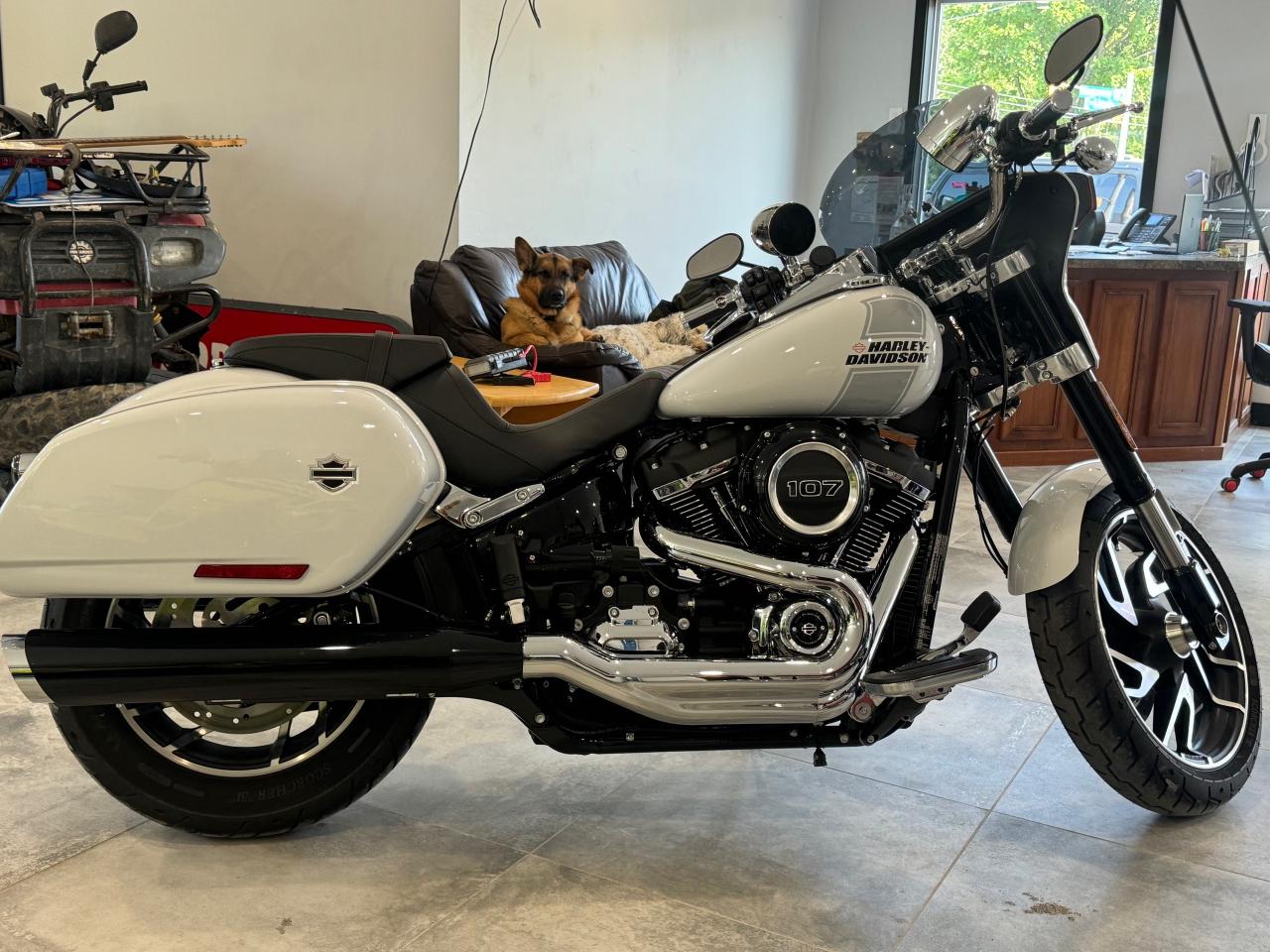 2021 Harley-Davidson FLSB Sport Glide SPORT GLIDE Photo