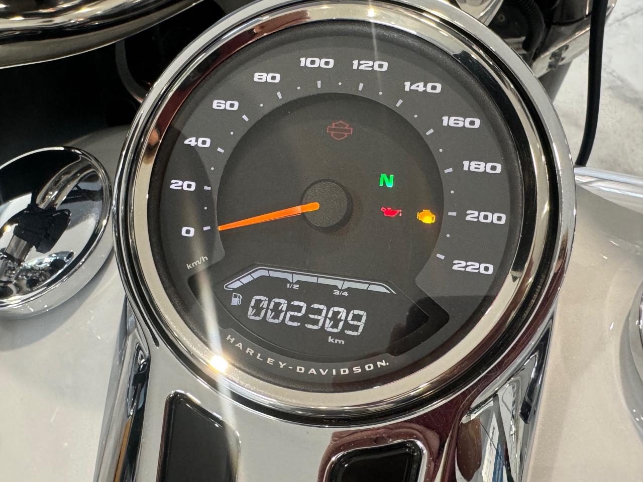 2021 Harley-Davidson FLSB Sport Glide SPORT GLIDE Photo