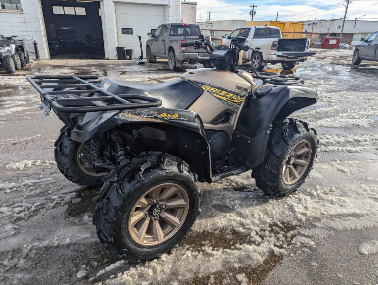 2020 Yamaha Grizzly SE - Photo #4