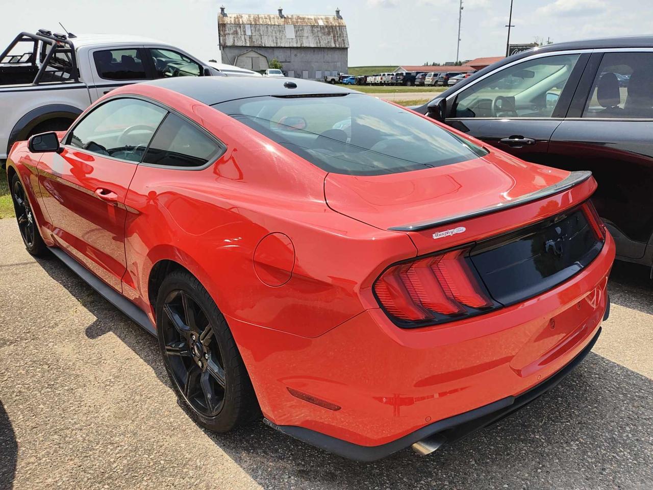 2019 Ford Mustang EcoBoost