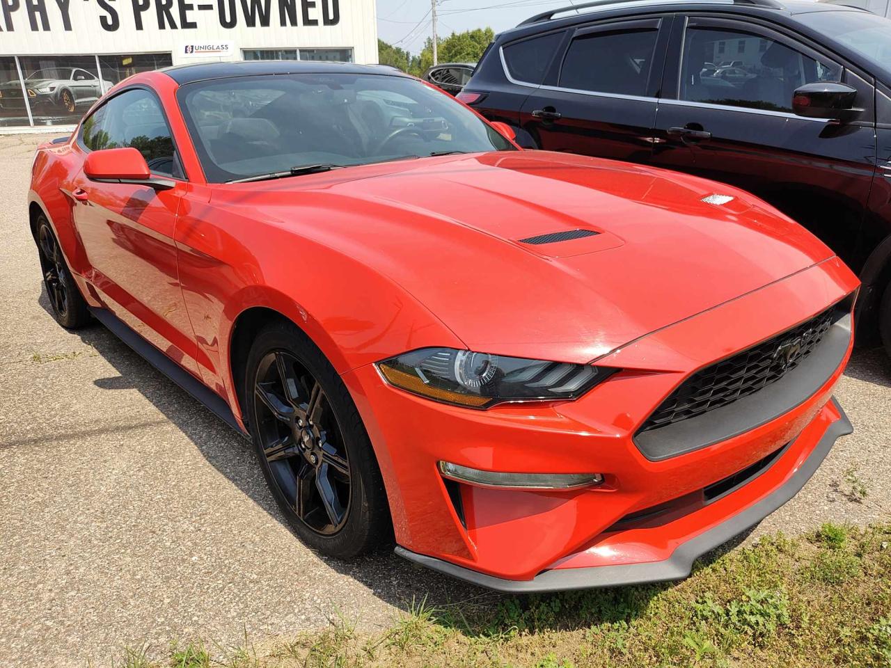 2019 Ford Mustang EcoBoost