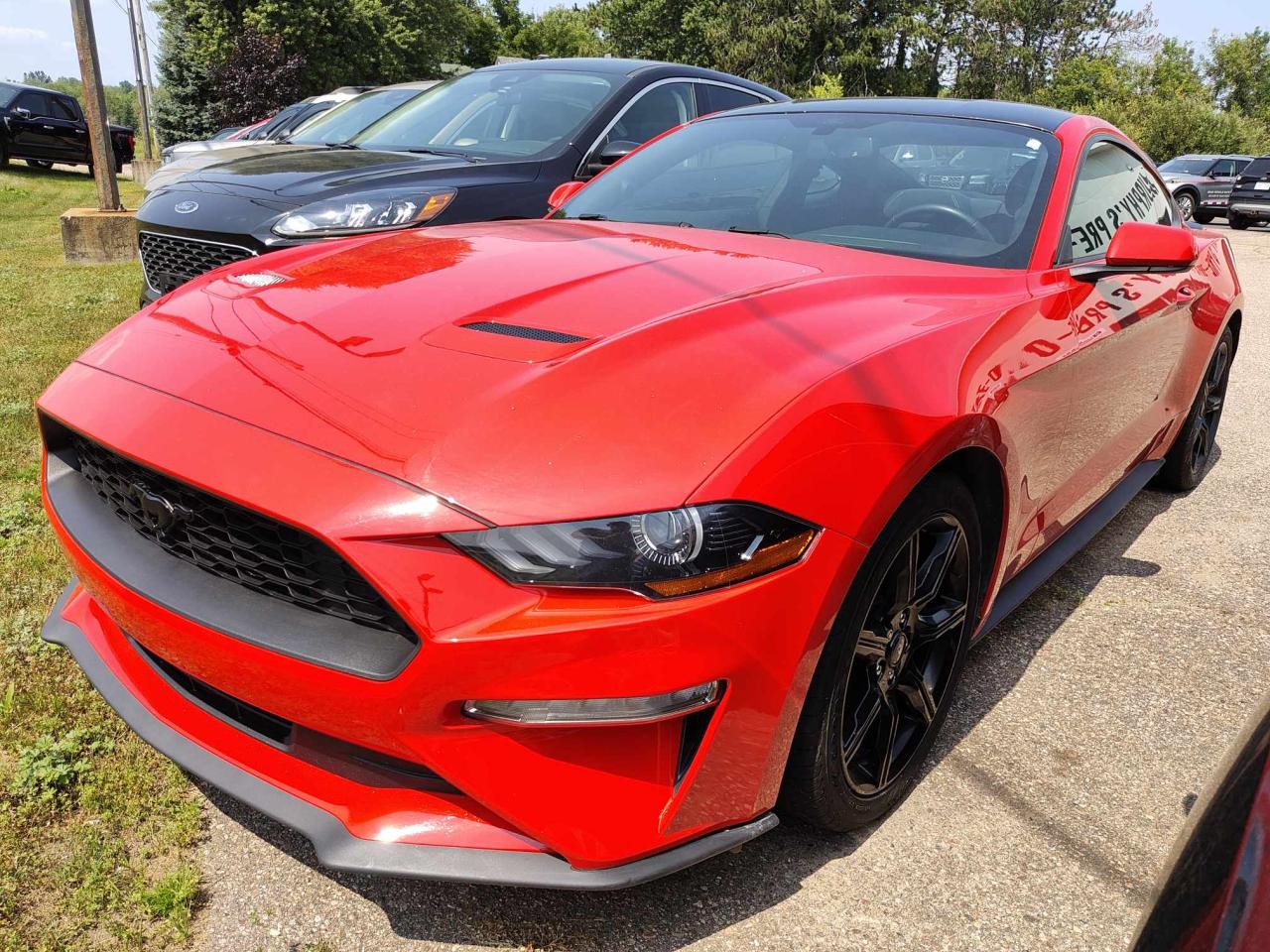 Used 2019 Ford Mustang EcoBoost for sale in Pembroke, ON