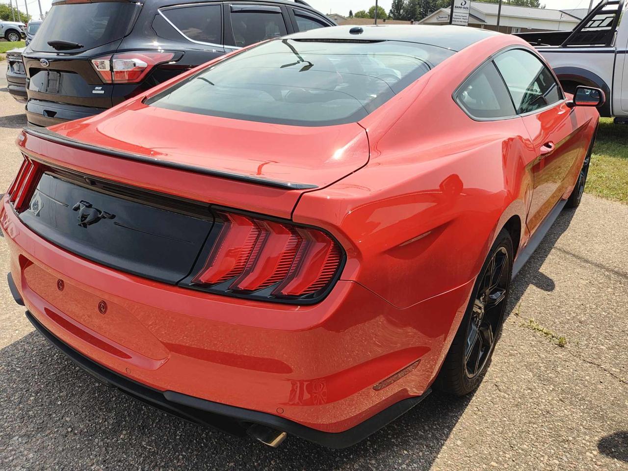 2019 Ford Mustang EcoBoost