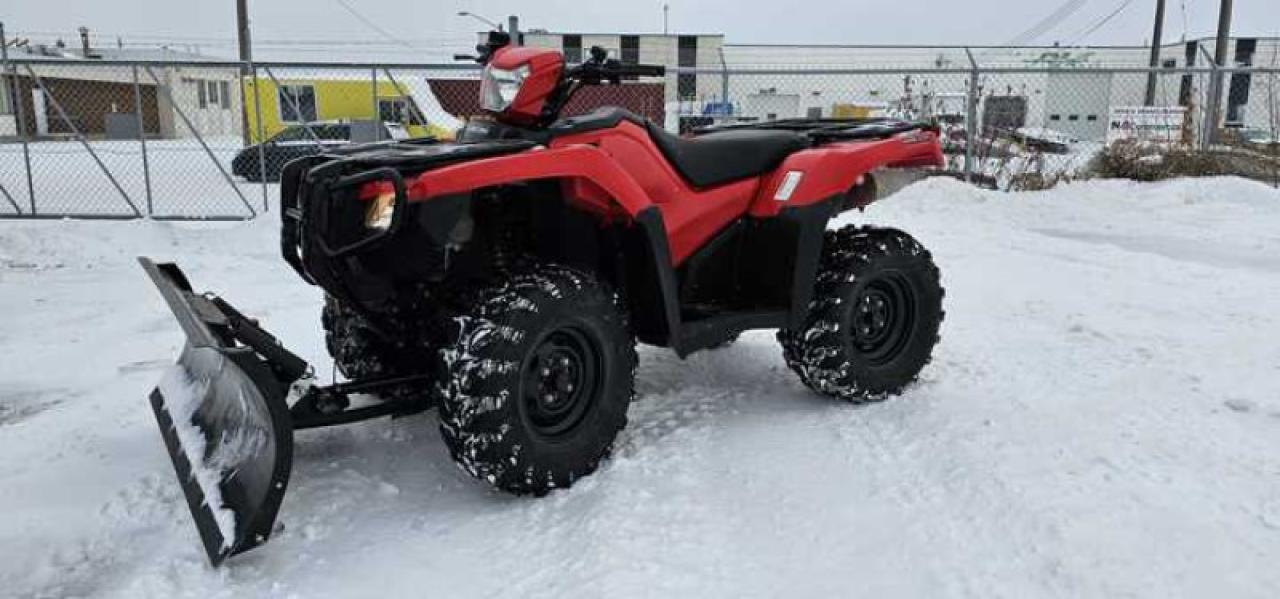 2022 Honda Rubicon 520 DCT IRS EPS - Photo #2