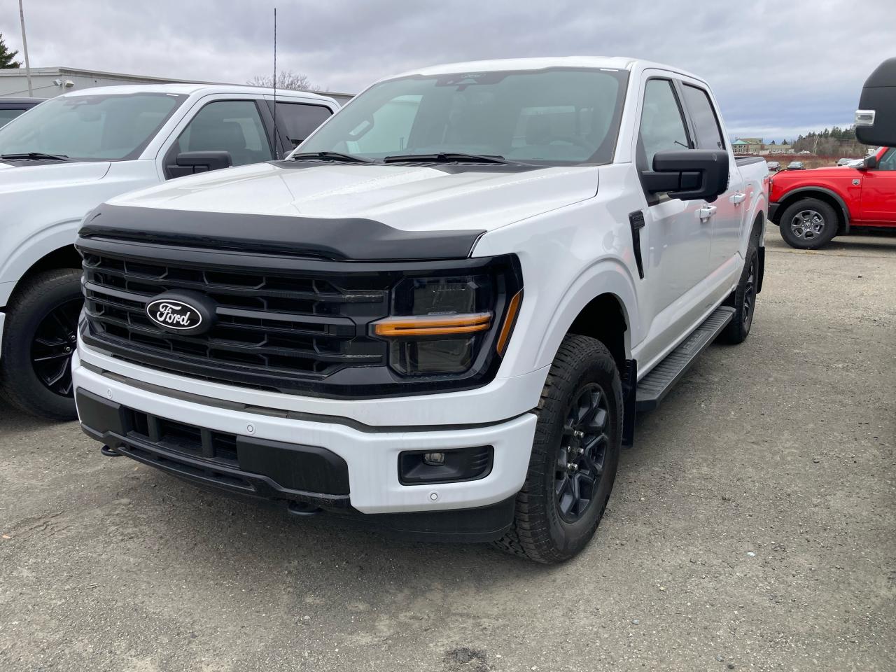 New 2024 Ford F-150 XLT for sale in Woodstock, NB