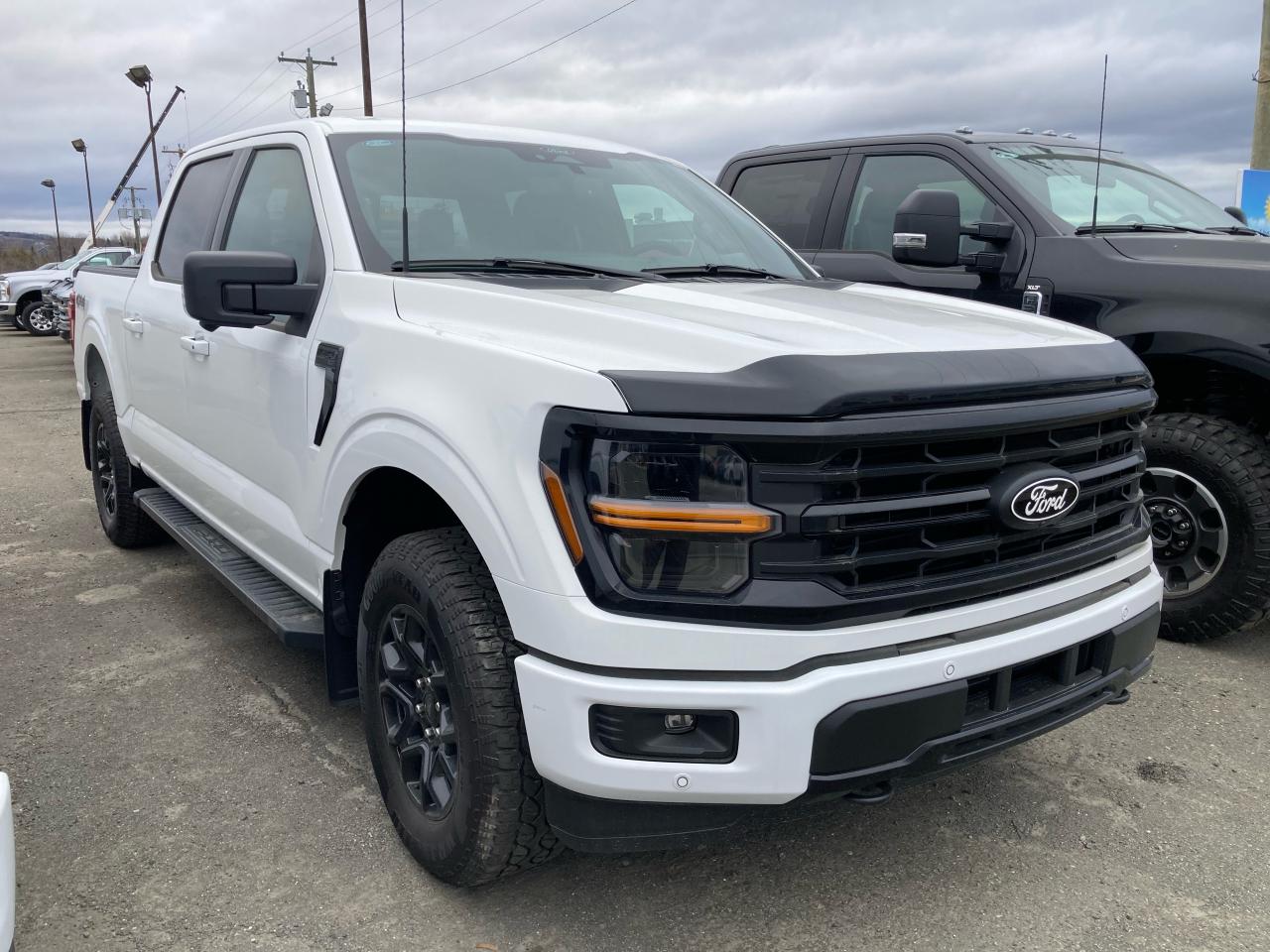 2024 Ford F-150 XLT Photo