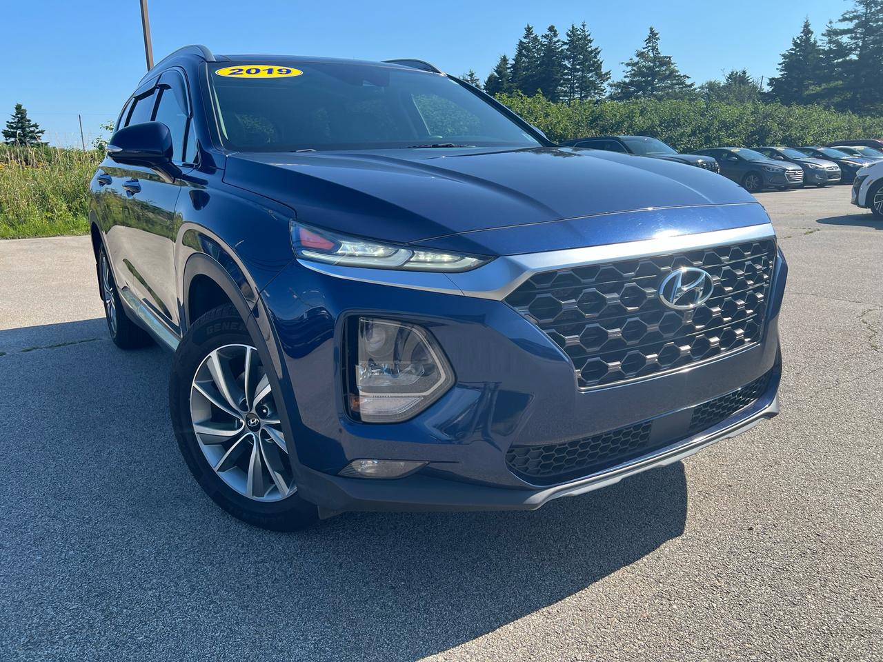 Used Vehicles for Sale in Dayton, NS | Thistle Hyundai