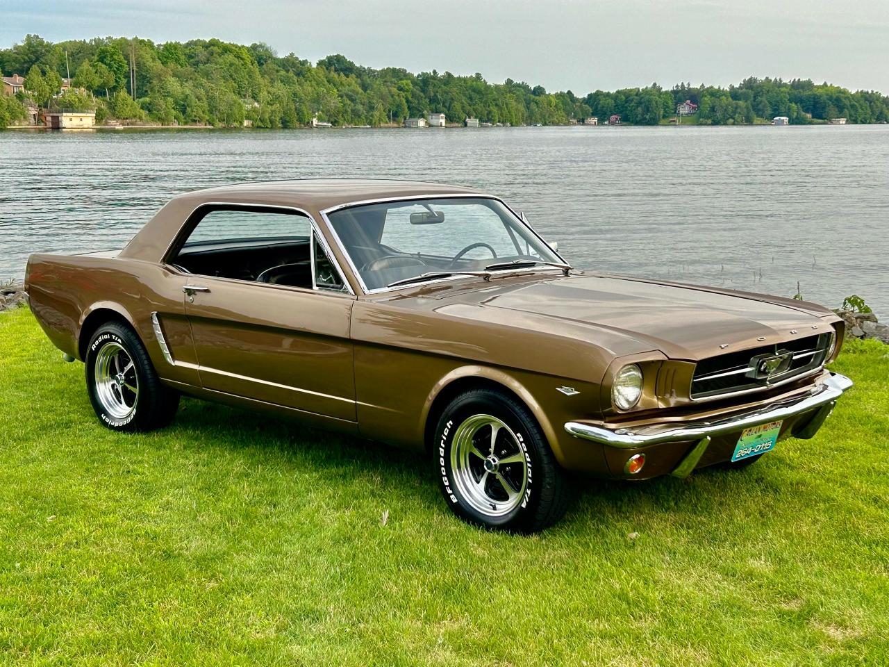 1965 Ford Mustang 