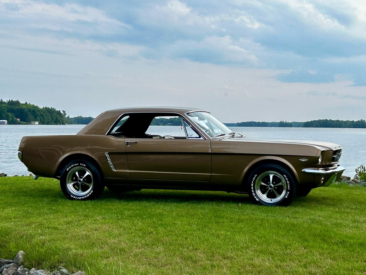 1965 Ford Mustang  - Photo #6