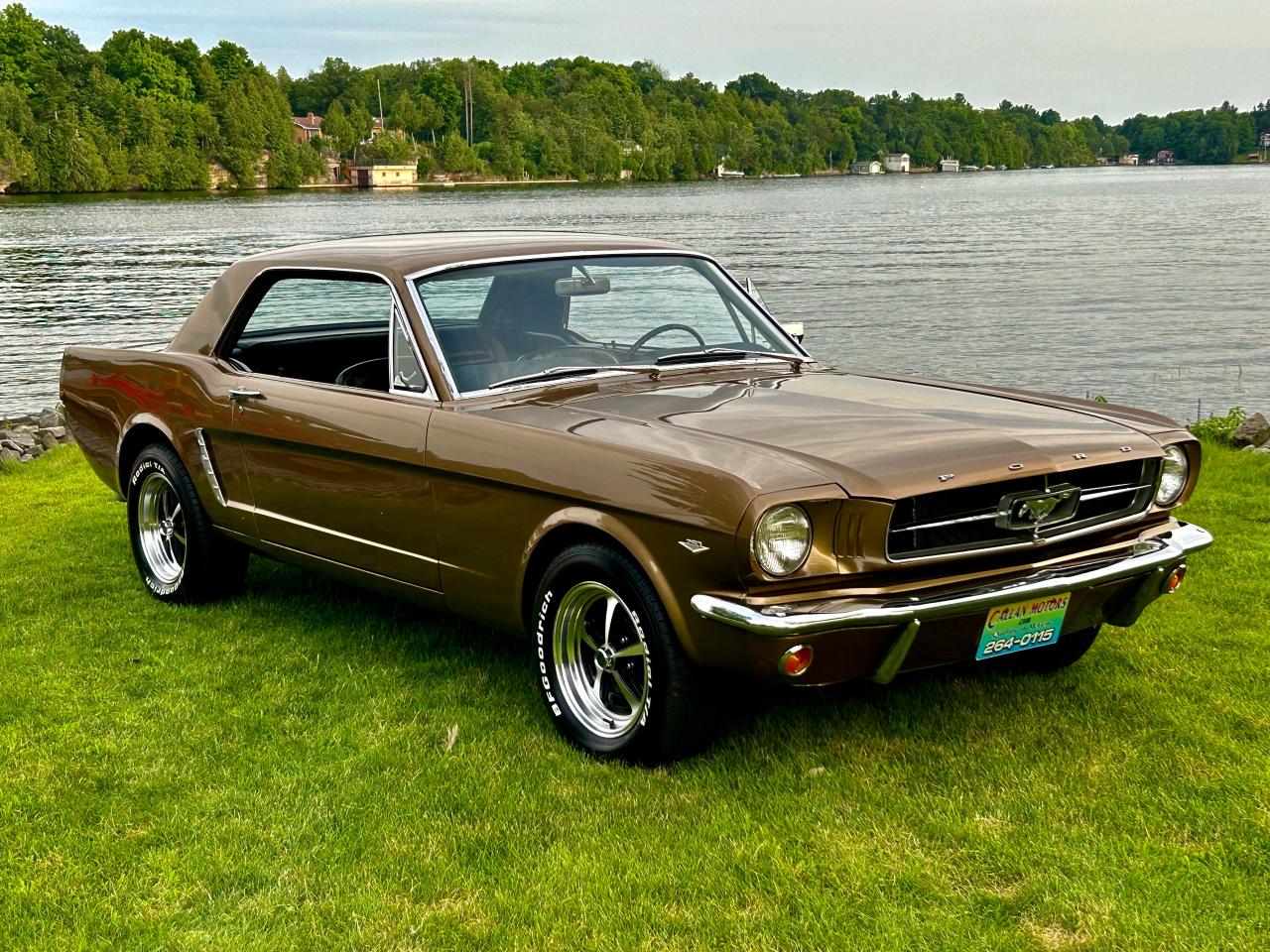 1965 Ford Mustang  - Photo #3