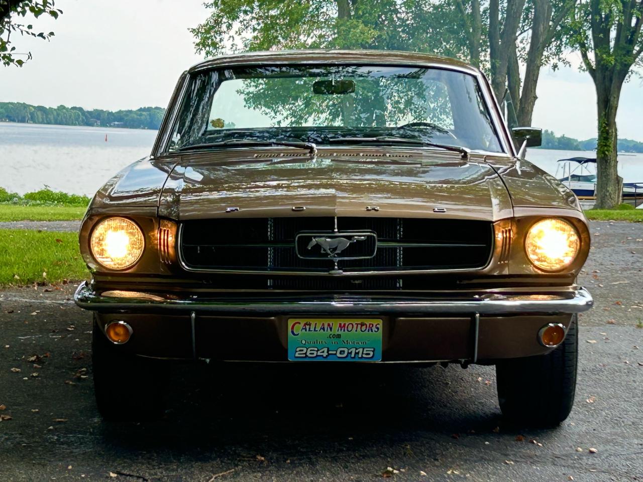 1965 Ford Mustang  - Photo #22