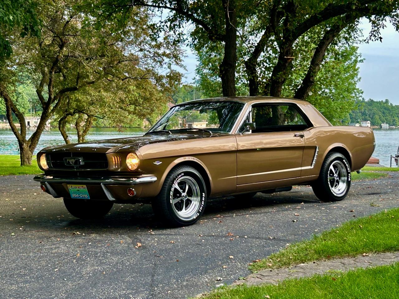 1965 Ford Mustang  - Photo #19