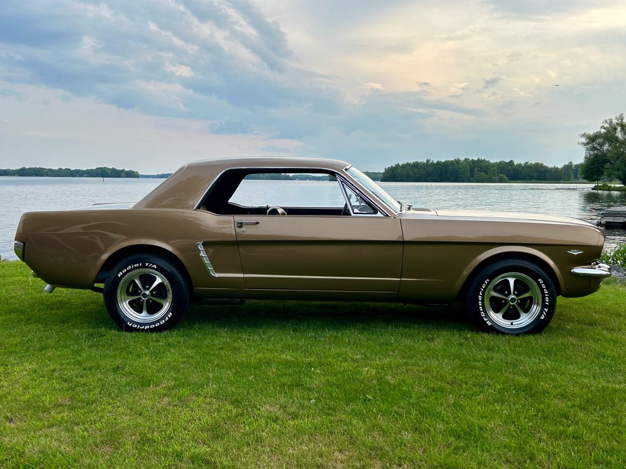 1965 Ford Mustang  - Photo #15