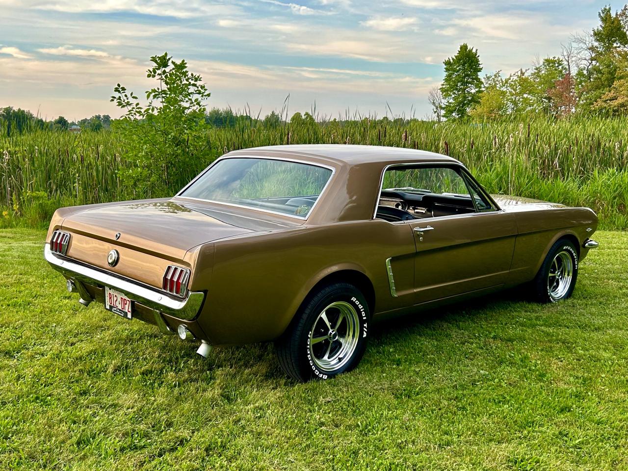 1965 Ford Mustang  - Photo #27