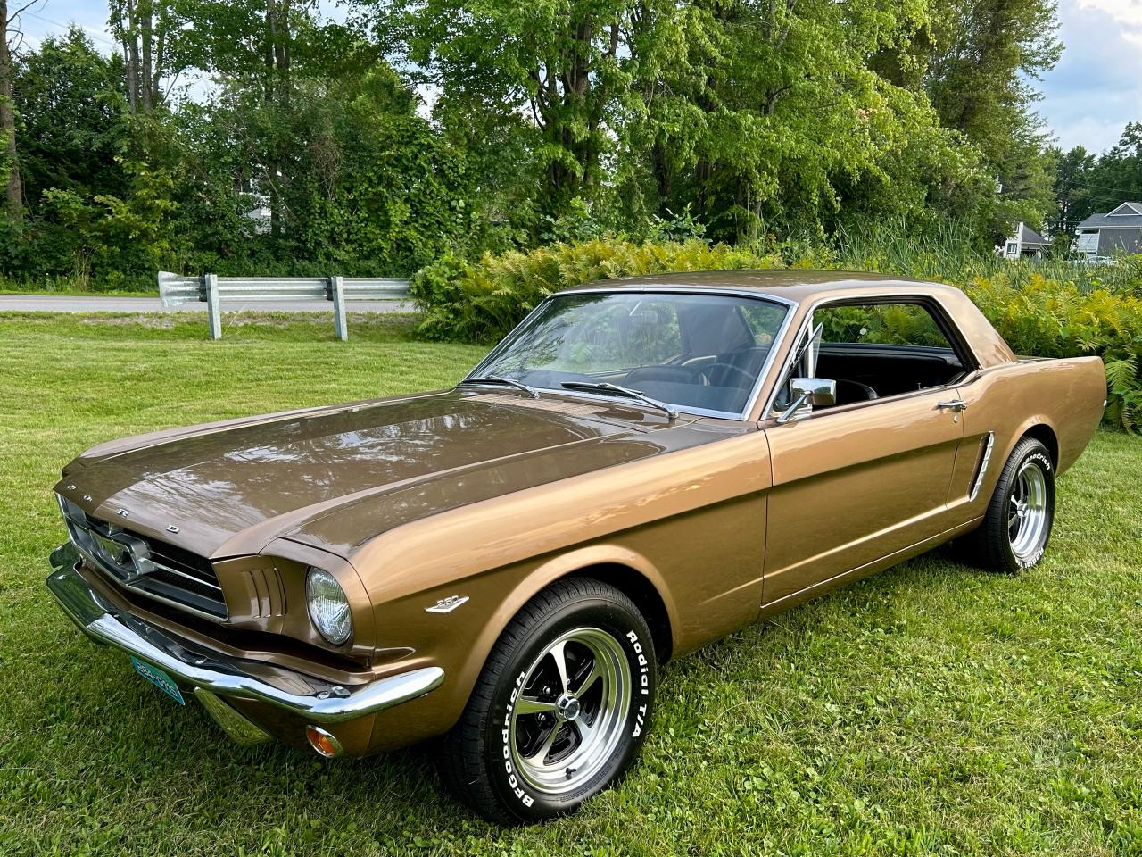 1965 Ford Mustang  - Photo #32