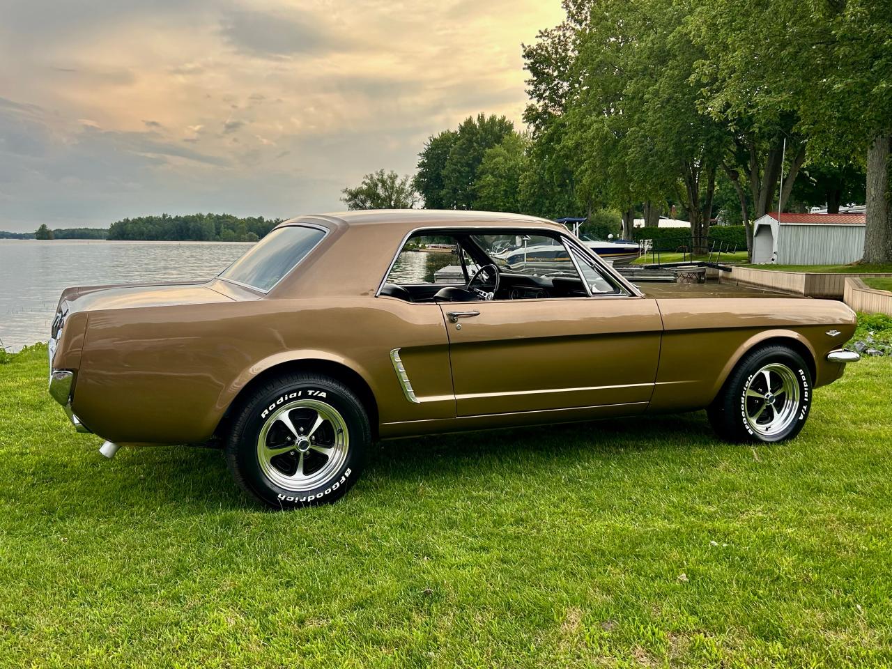 1965 Ford Mustang  - Photo #16