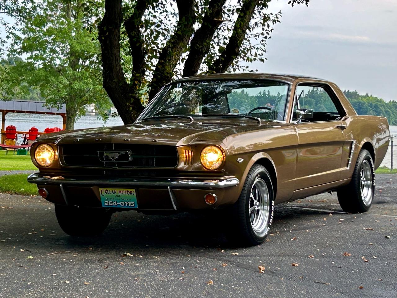 1965 Ford Mustang  - Photo #23