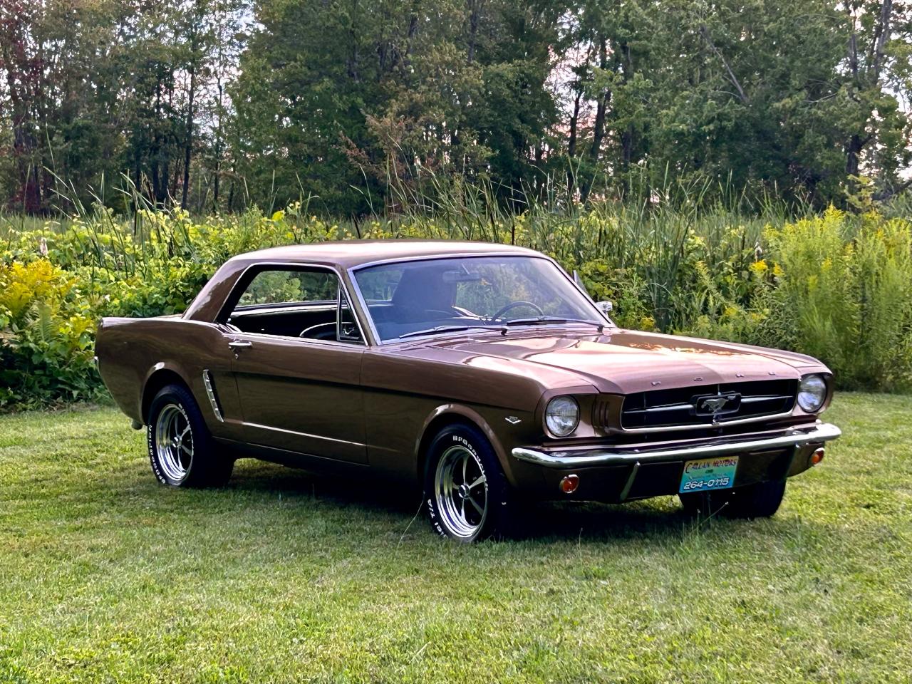 1965 Ford Mustang  - Photo #24