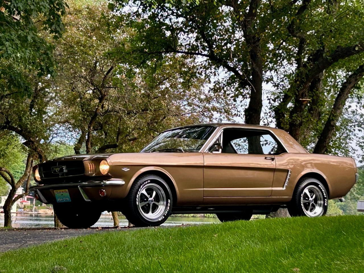 1965 Ford Mustang  - Photo #21